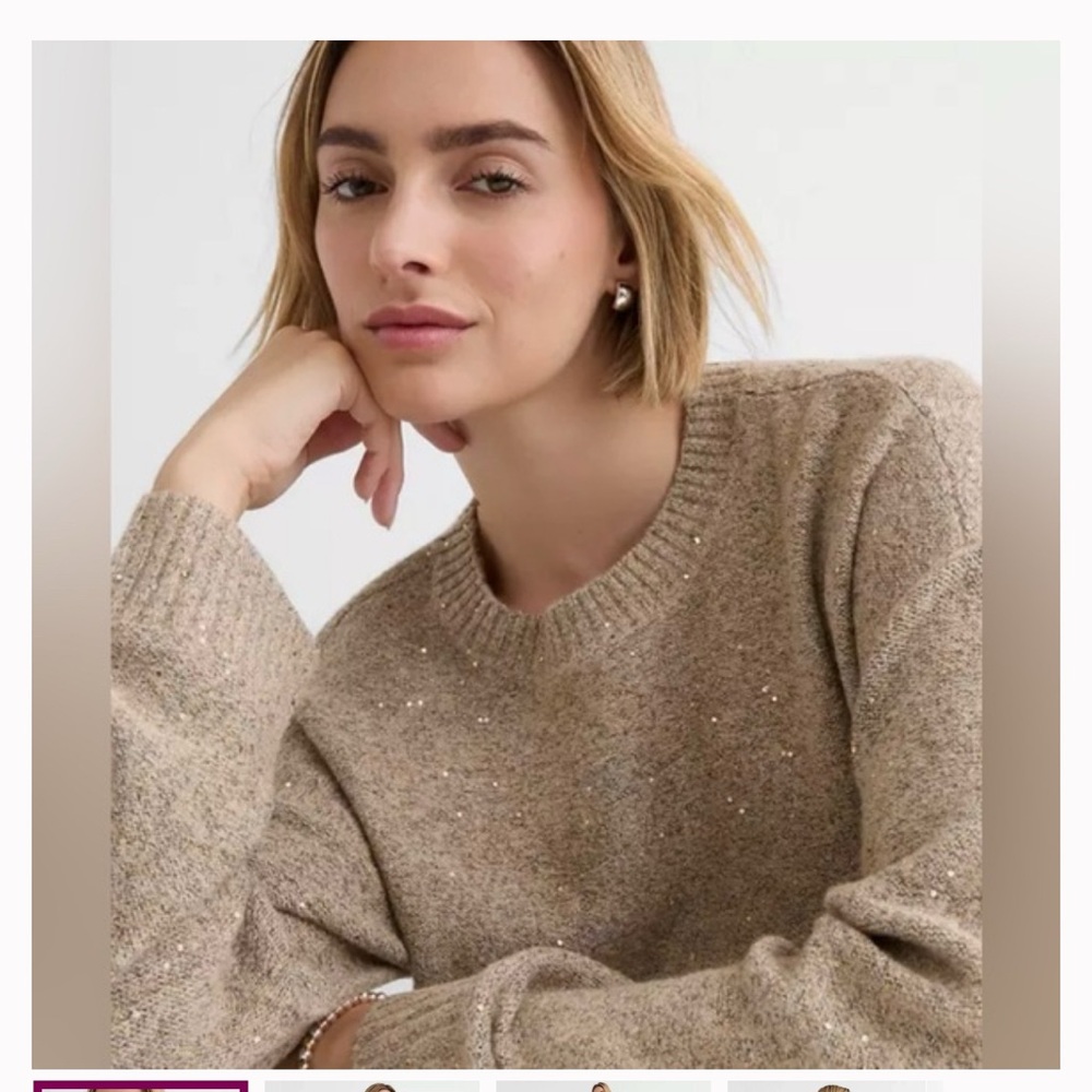 NWT- LOFT Taupe Crew Neck Cream Shimmer Sweater